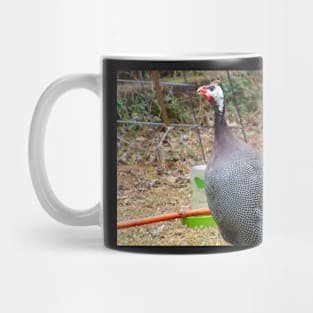 Another Guinea Mug